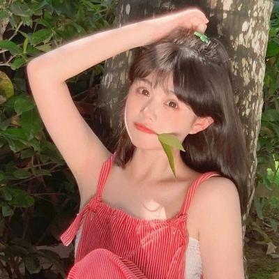 暗黑破坏神2完美珍藏版下载